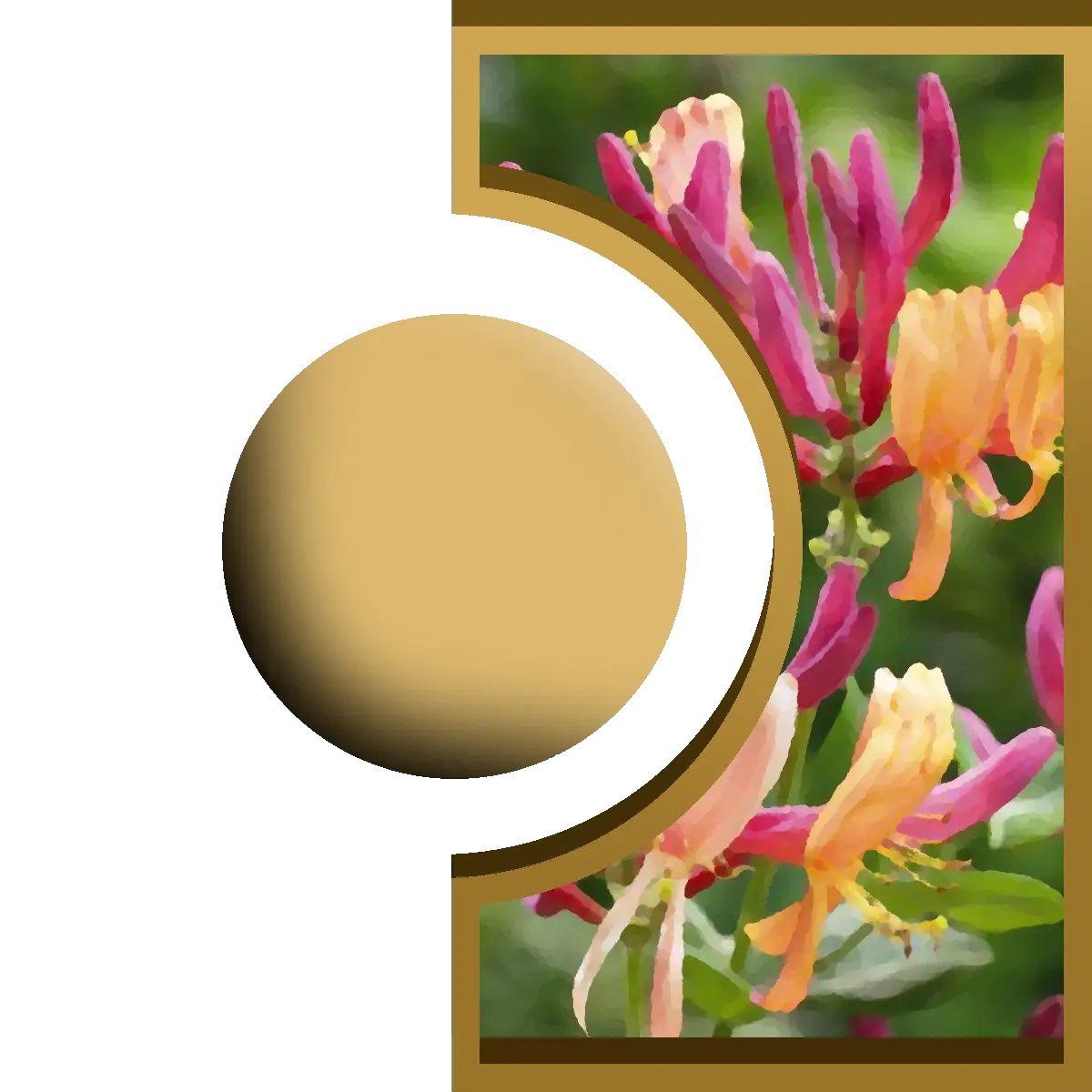 R-Ball - Chèvrefeuille Royal Candle