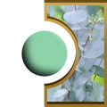 R-Ball - Eucalyptus Royal Candle