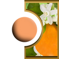 R-Ball - Fleur d'Oranger Royal Candle