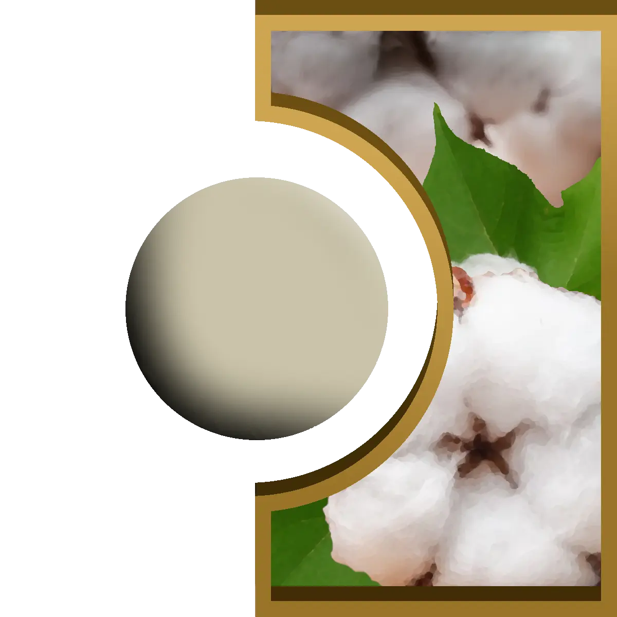 R-Ball - Fleur de coton Royal Candle