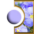 R-Ball -Fleur de Lin Royal Candle