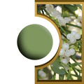 R-Ball - Gui Royal Candle