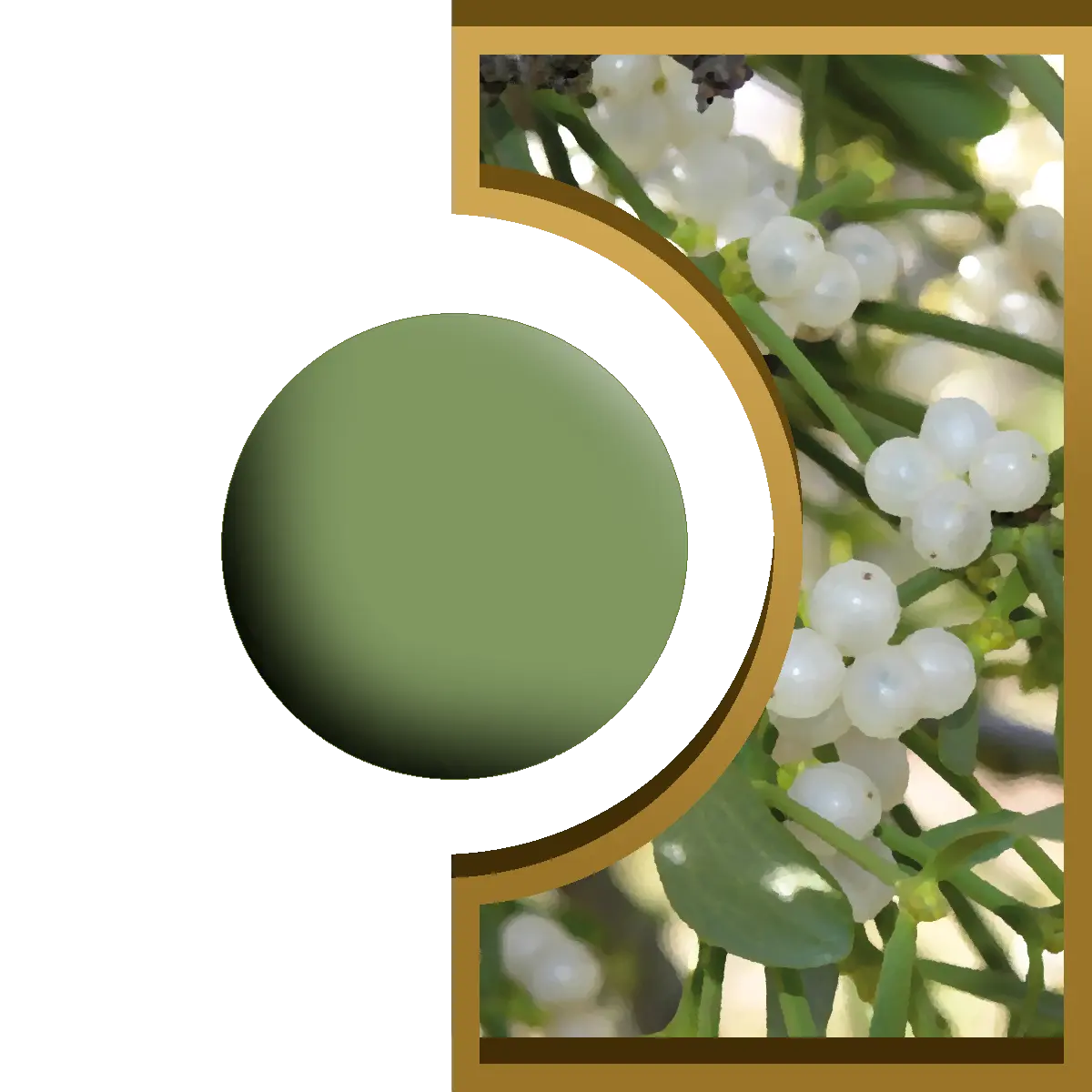R-Ball - Gui Royal Candle