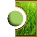 R-Ball - Herbe coupée Royal Candle