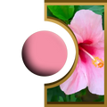 R-Ball - Hibiscus Royal Candle