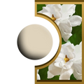 R-Ball - Jasmin Royal Candle