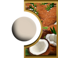 R-Ball - Noix de coco Royal Candle