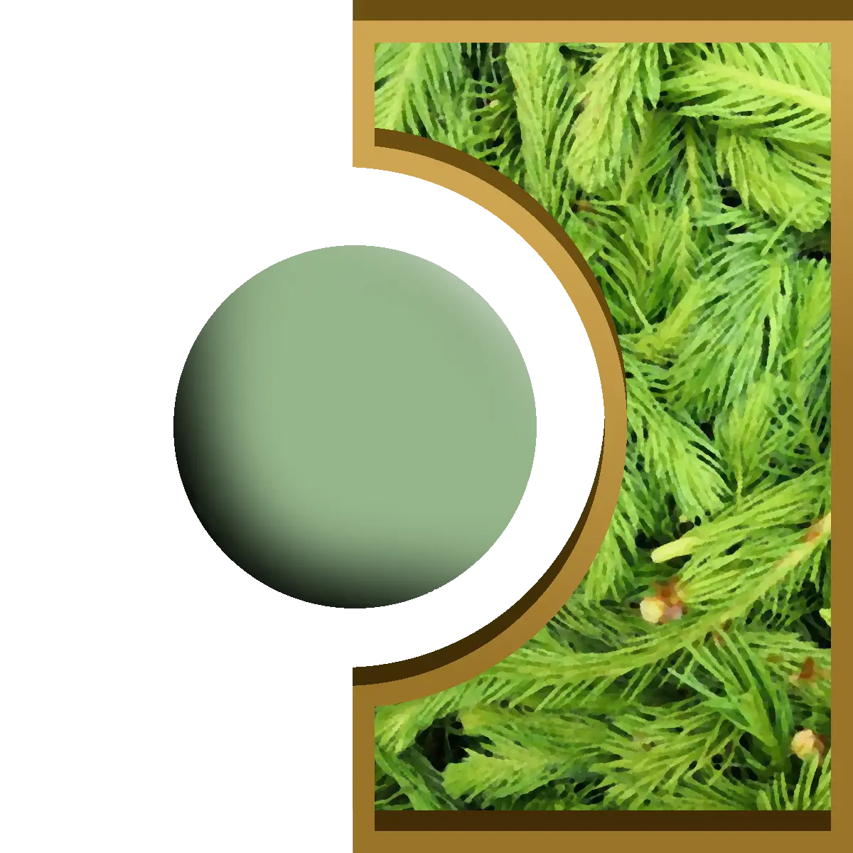 R-Ball - Sapin Royal Candle
