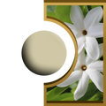 R-Ball - Fleur de Tiaré Royal Candle